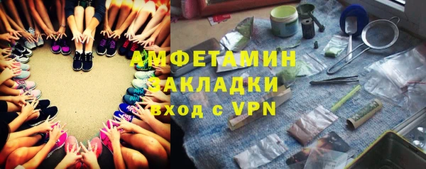 ПСИЛОЦИБИНОВЫЕ ГРИБЫ Козловка