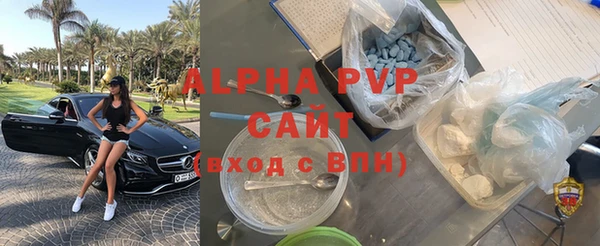 ПСИЛОЦИБИНОВЫЕ ГРИБЫ Козловка