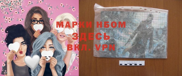 ПСИЛОЦИБИНОВЫЕ ГРИБЫ Козловка