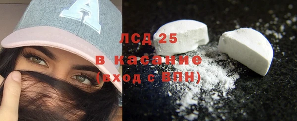 ПСИЛОЦИБИНОВЫЕ ГРИБЫ Козловка