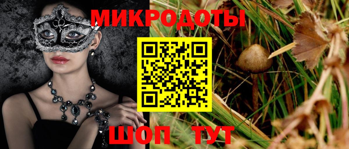 Псилоцибиновые грибы мицелий Сунжа