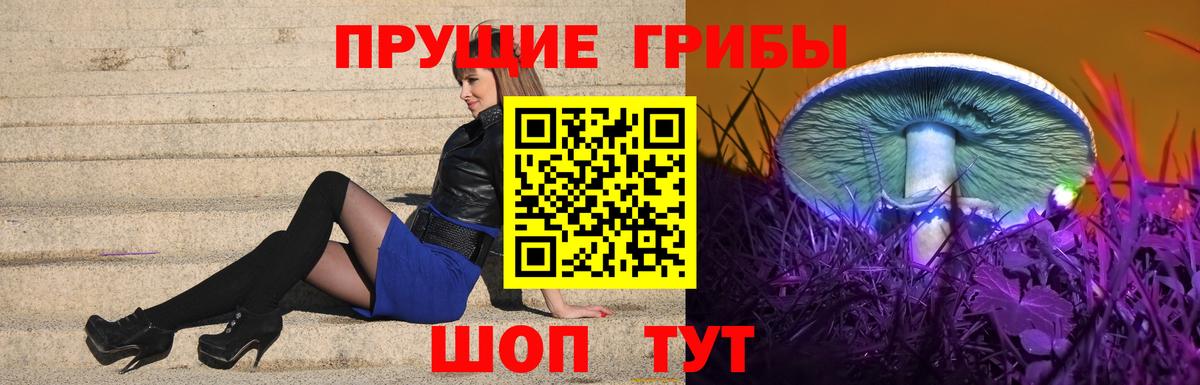 Сунжа  Галлюциногенные грибы Psilocybe  купить наркоту  Вход с VPN 
