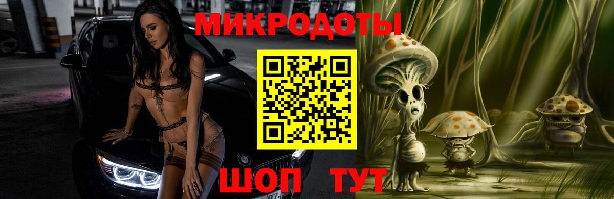 Псилоцибиновые грибы Cubensis Сунжа